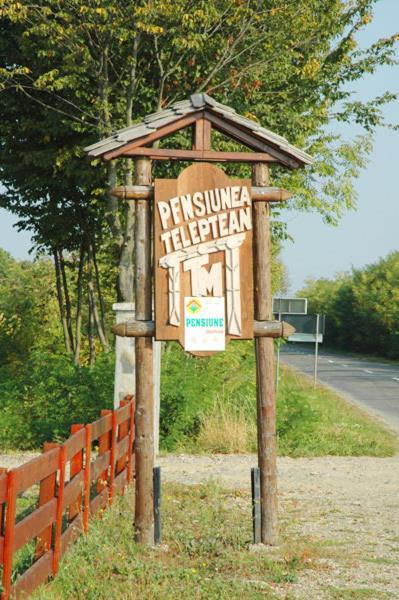 Pension Teleptean Aknasugatag Kültér fotó
